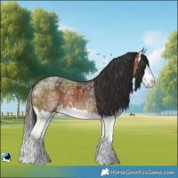 Horse Color:Bay Ice Splash