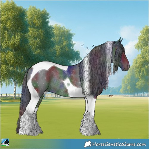 Horse Color:Nacre Black Mushroom Tobiano Rabicano 