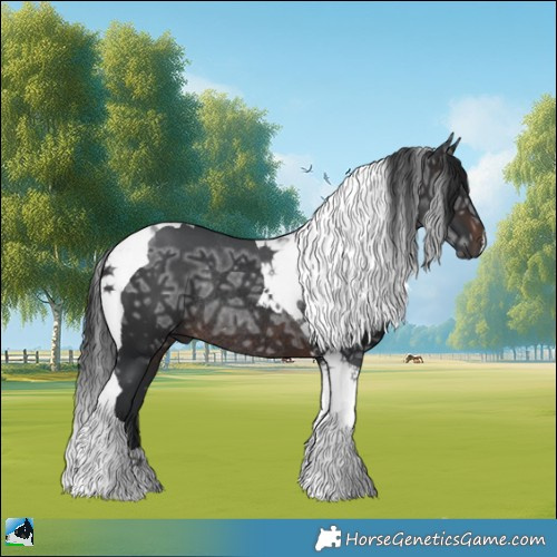Horse Color:Brown Ice Tobiano Rabicano 
