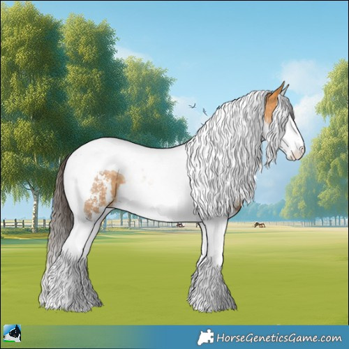 Horse Color:Buckskin Sabino Splash Tobiano Rabicano 