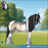 Horse Color:Brown Ice Onyx Tobiano Rabicano 