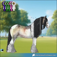 Horse Color:Brown Ice Onyx Tobiano Rabicano 