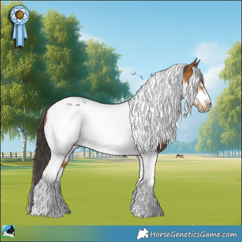 Horse Color:Buckskin Tobiano Frame Rabicano 