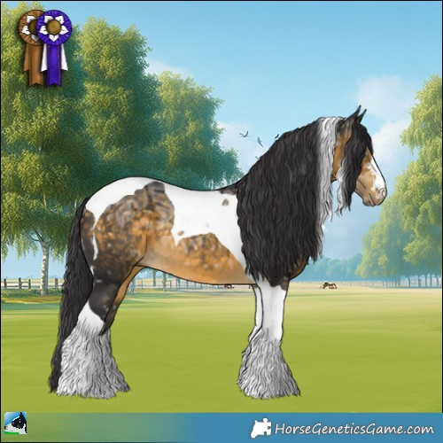 Horse Color:Buckskin Ice Tobiano Rabicano 