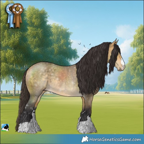 Horse Color:Buckskin Dun Rabicano 
