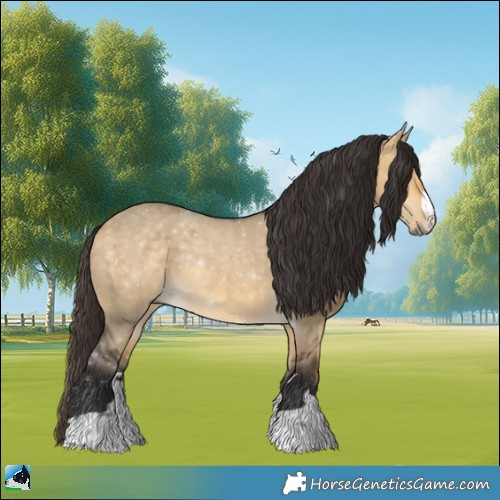 Horse Color:Buckskin Dun Rabicano