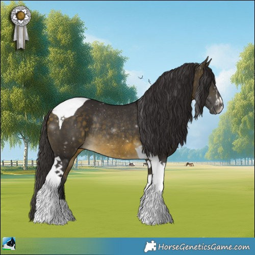 Horse Color:Buckskin Mushroom Tobiano Rabicano 