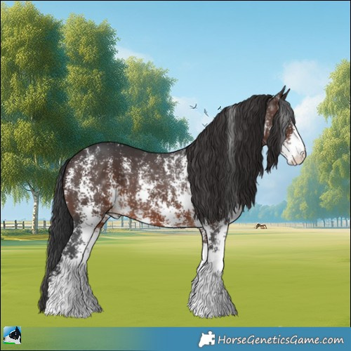 Horse Color:Brown Sabino Rabicano 
