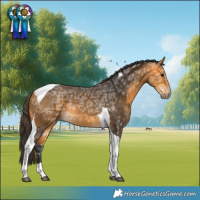 Horse Color:Buckskin Ice Tobiano Rabicano