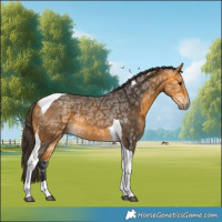Horse Color:Buckskin Ice Tobiano Rabicano