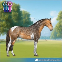 Horse Color:Buckskin Ice Tobiano Rabicano