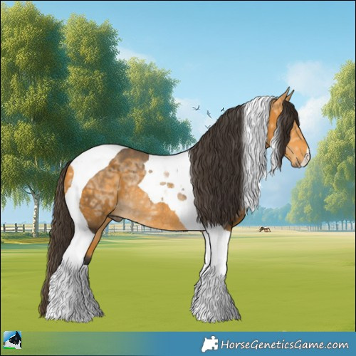 Horse Color:Buckskin Ice Tobiano Rabicano 