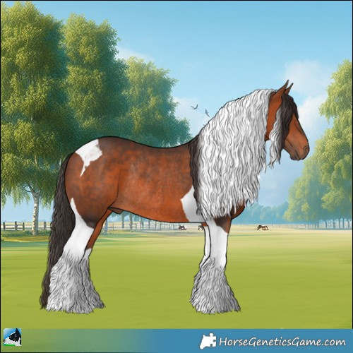 Horse Color:Bay Tobiano Rabicano 