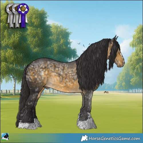 Horse Color:Buckskin Ice Rabicano 