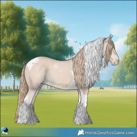 Horse Color:Smoky Creme Tobiano 