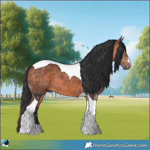 Horse Color:Brown Tobiano Rabicano 