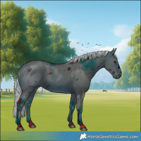 Horse Color:ERROR: UNKNOWN ANOMALY