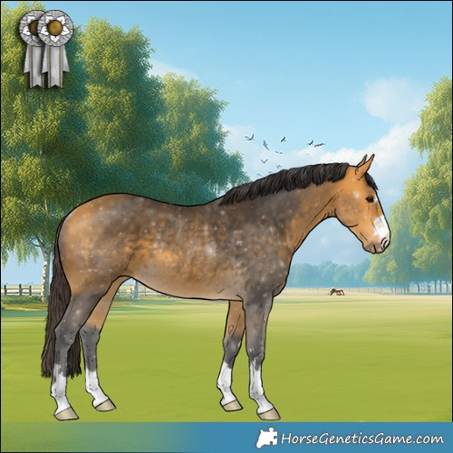 Horse Color:Buckskin Rabicano