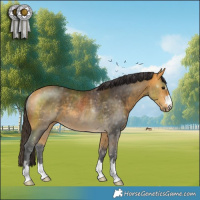 Horse Color:Buckskin Rabicano