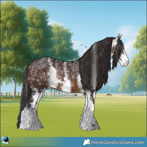 Horse Color:Brown Ice Sabino Rabicano 
