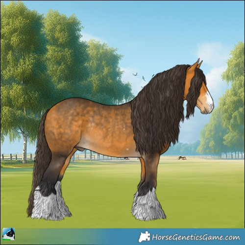 Horse Color:Buckskin Rabicano 