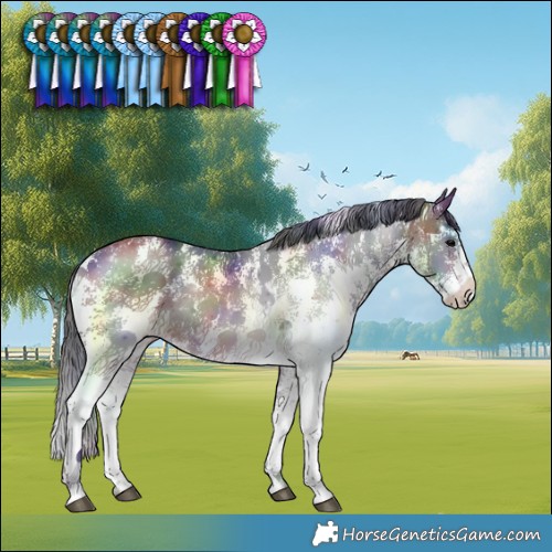 Horse Color:Nacre Bay Sabino Rabicano 
