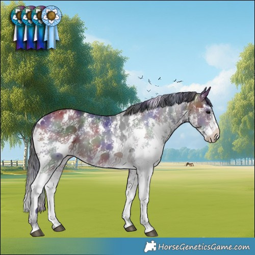 Horse Color:Nacre Bay Sabino Rabicano