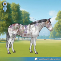 Horse Color:Nacre Bay Sabino Rabicano 
