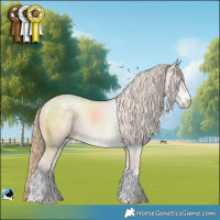 Horse Color:Perlino Ice Rabicano 