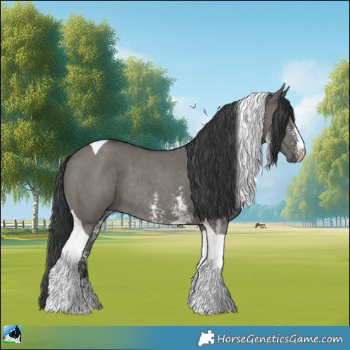 Horse Color:Grullo Sabino Tobiano Rabicano 