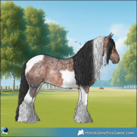 Horse Color:Brown Ice Mushroom Tobiano Rabicano 
