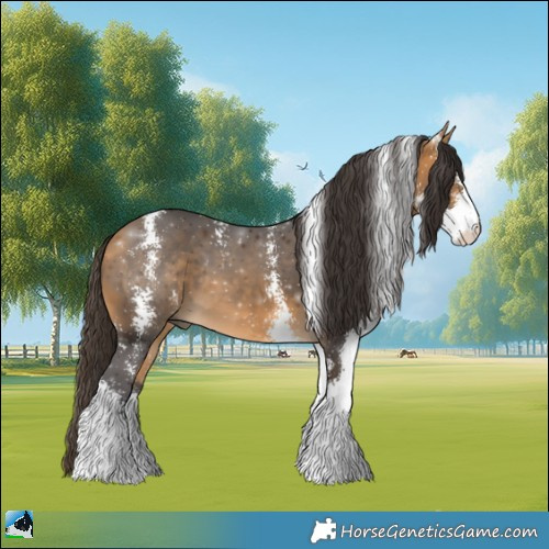 Horse Color:Buckskin Sabino 