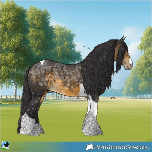 Horse Color:Buckskin Ice Tobiano 