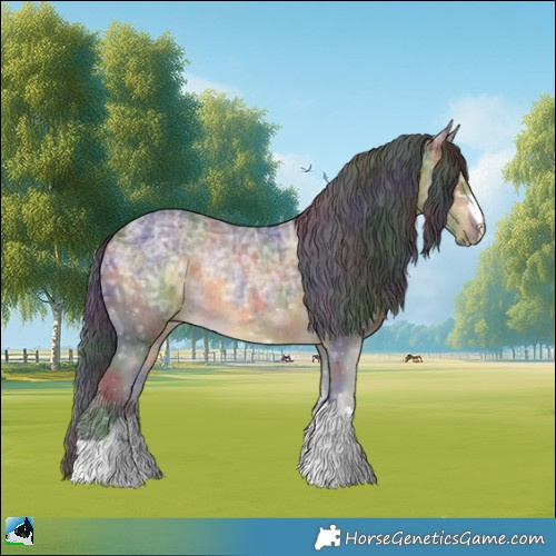 Horse Color:Nacre Buckskin Ice Rabicano