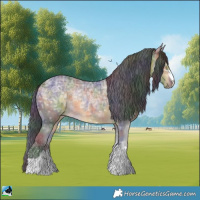 Horse Color:Nacre Buckskin Ice Rabicano 
