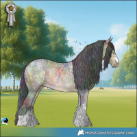 Horse Color:Nacre Buckskin Ice Rabicano 