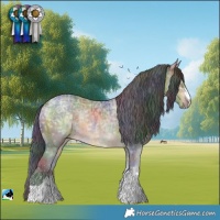 Horse Color:Nacre Buckskin Ice Rabicano 