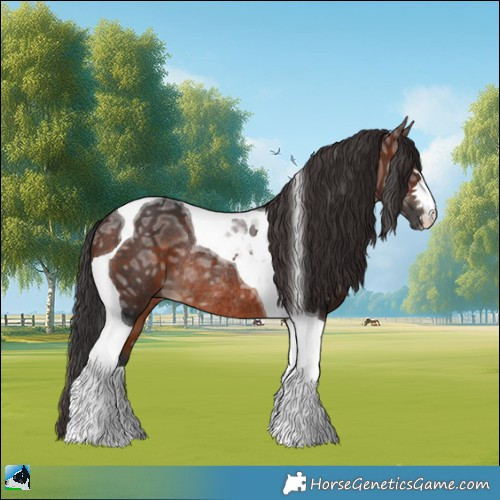 Horse Color:Brown Ice Tobiano Rabicano 