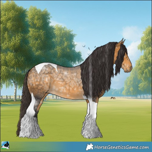 Horse Color:Buckskin Ice Mushroom Tobiano 
