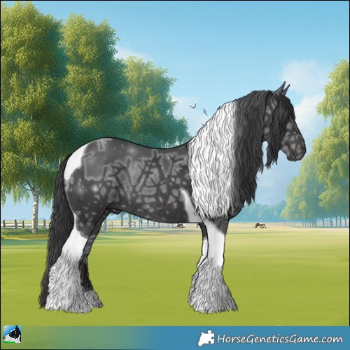 Horse Color:Black Ice Mushroom Tobiano Rabicano 