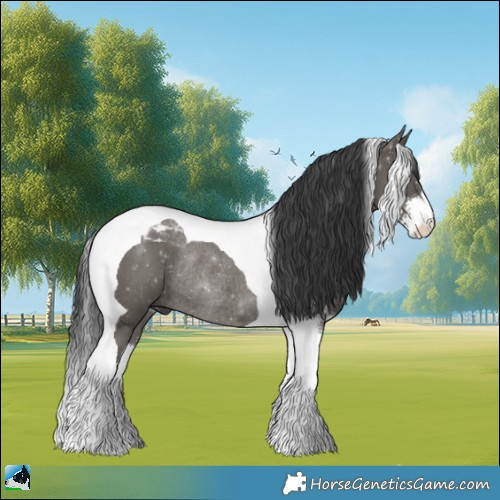 Horse Color:Grullo Mushroom Sabino Tobiano Rabicano 