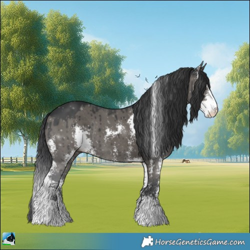 Horse Color:Grullo Mushroom Sabino Rabicano Brindle 