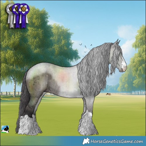 Horse Color:Smoky Grullo Mushroom Rabicano Brindle