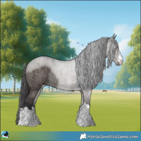 Horse Color:Smoky Grullo Mushroom Rabicano Brindle 