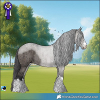 Horse Color:Smoky Grullo Mushroom Rabicano Brindle