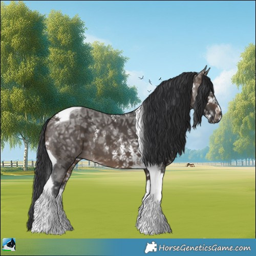 Horse Color:Brown Ice Dun Sabino Tobiano