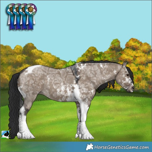 Horse Color:Brown Ice Dun Sabino Tobiano