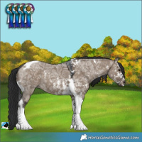 Horse Color:Brown Ice Dun Sabino Tobiano 