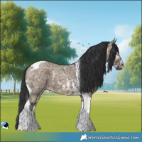 Horse Color:Brown Ice Dun Sabino Tobiano
