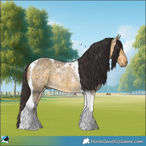 Horse Color:Buckskin Ice Dun Mushroom Tobiano 